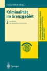 Kriminalitat im Grenzgebiet : Band 3: Auslander vor deutschen Gerichten - eBook