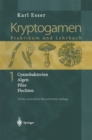 Kryptogamen 1 : Cyanobakterien Algen Pilze Flechten Praktikum und Lehrbuch - eBook