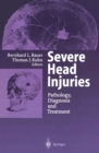 Severe Head Injuries : Pathology, Diagnosis and Treatment - eBook