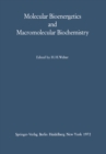 Molecular Bioenergetics and Macromolecular Biochemistry : Meyerhof-Symposium Heidelberg, July 5-8, 1970 - eBook