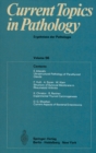 Current Topics in Pathology / Ergebnisse der Pathologie - eBook