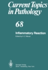 Inflammatory Reaction - eBook