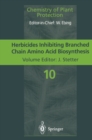 Herbicides Inhibiting Branched-Chain Amino Acid Biosynthesis : Recent Developments - eBook