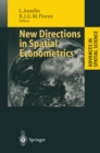 New Directions in Spatial Econometrics - eBook