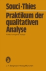 Praktikum der qualitativen Analyse - eBook