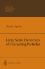 Large Scale Dynamics of Interacting Particles - eBook