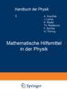 Mathematische Hilfsmittel in der Physik - eBook