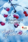 Wintergeschichten - eBook
