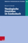 Theologische Einsichten im Exodusbuch - eBook