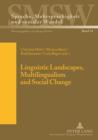 Linguistic Landscapes, Multilingualism and Social Change - eBook