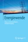 Energiewende : Wege zu einer bezahlbaren Energieversorgung - eBook