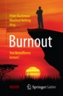 Burnout : Von Betroffenen lernen! - eBook