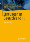 Stiftungen in Deutschland 1: : Eine Verortung - eBook