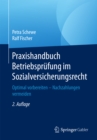Praxishandbuch Betriebsprufung im Sozialversicherungsrecht : Optimal vorbereiten - Nachzahlungen vermeiden - eBook