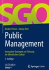 Public Management : Innovative Konzepte zur Fuhrung im offentlichen Sektor - eBook