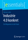 Industrie 4.0 konkret : Ein Wegweiser in die Praxis - eBook