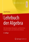 Lehrbuch der Algebra : Mit lebendigen Beispielen, ausfuhrlichen Erlauterungen und zahlreichen Bildern - eBook