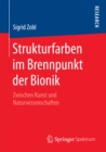 Strukturfarben im Brennpunkt der Bionik : Zwischen Kunst und Naturwissenschaften - eBook