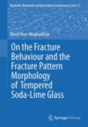 On the Fracture Behaviour and the Fracture Pattern Morphology of Tempered Soda-Lime Glass - eBook