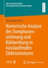 Numerische Analyse der Zweiphasenstromung und Kuhlwirkung in nasslaufenden Elektromotoren - eBook
