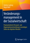 Veranderungsmanagement in der Sozialwirtschaft : Praxisorientierte Personal- und Organisationsentwicklung in unruhigen Zeiten des digitalen Wandels - eBook