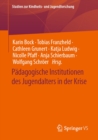 Padagogische Institutionen des Jugendalters in der Krise - eBook