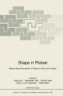 Shape in Picture : Mathematical Description of Shape in Grey-level Images - eBook