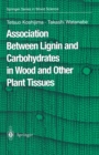 Association Between Lignin and Carbohydrates in Wood and Other Plant Tissues - eBook