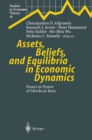 Assets, Beliefs, and Equilibria in Economic Dynamics : Essays in Honor of Mordecai Kurz - eBook