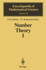 Number Theory I : Fundamental Problems, Ideas and Theories - eBook