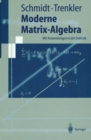 Moderne Matrix-Algebra : Mit Anwendungen in der Statistik - eBook