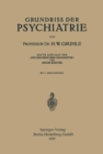 Grundriss der Psychiatrie - eBook