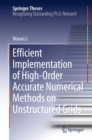 Efficient Implementation of High-Order Accurate Numerical Methods on Unstructured Grids - eBook