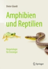 Amphibien und Reptilien : Herpetologie fur Einsteiger - eBook