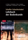 Scheffer/Schachtschabel: Lehrbuch der Bodenkunde - eBook