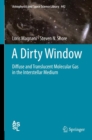 A Dirty Window : Diffuse and Translucent Molecular Gas in the Interstellar Medium - eBook