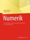 Numerik : Eine lebendige und gut verstandliche Einfuhrung mit vielen Beispielen - eBook