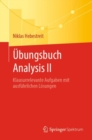 Ubungsbuch Analysis II : Klausurrelevante Aufgaben mit ausfuhrlichen Losungen - eBook