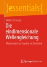 Die eindimensionale Wellengleichung : Mathematische Aspekte im Uberblick - eBook
