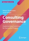 Consulting Governance : Implementing Guidelines for Successful Projects - eBook