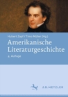 Amerikanische Literaturgeschichte - eBook