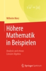 Hohere Mathematik in Beispielen : Analysis und etwas Lineare Algebra - eBook