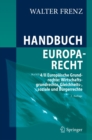 Handbuch Europarecht : Band 4/II Europaische Grundrechte: Wirtschaftsgrundrechte, Gleichheits-, soziale und Burgerrechte - eBook