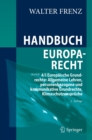 Handbuch Europarecht : Band 4/I Europaische Grundrechte: Allgemeine Lehren, personenbezogene und kommunikative Grundrechte, Klimaschutzanspruche - eBook