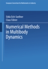Numerical Methods in Multibody Dynamics - eBook