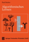 Algorithmisches Lernen - eBook