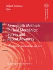 Asymptotic Methods in Fluid Mechanics: Survey and Recent Advances - eBook
