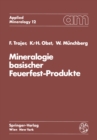 Mineralogie basischer Feuerfest-Produkte - eBook