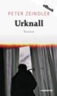 Urknall : Roman - eBook