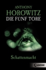 Die funf Tore (Band 3) - Schattenmacht : Spannender Jugendroman fur Jungen und Madchen ab 12 Jahre - eBook